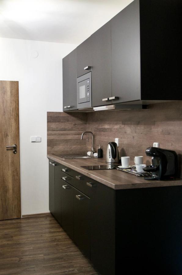 Apartment Za Divadlem
